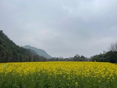 -贵阳市花溪国家城市湿地公园