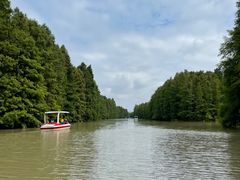 -上海海湾国家森林公园