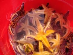-金沙滩海水浴场(万平口景区4号门扬帆广场店)