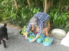 -桤木河湿地公园