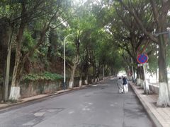 -西南政法大学(沙坪坝校区)