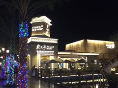 -三亚海昌梦幻海洋不夜城