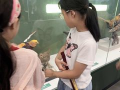 -国家自然博物馆