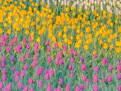 -长春公园(普阳街道)