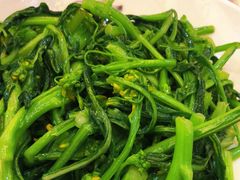 炒菜花-椿记烧鹅(叠彩店)