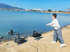 -长兴太湖图影湿地文化园