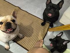 -锅贴王小吃(南大街店)