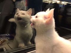 -歌神量贩式KTV(金谊店)