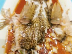 -高老庄新家宴(北斗星广场店)