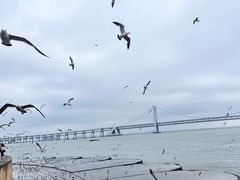 -星海广场