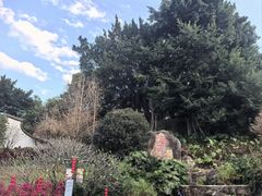 -乌山风景区