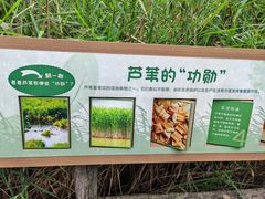-成都市活水公园