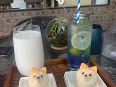 -柴犬高等学院·狗咖·柴犬售卖·宠物训练