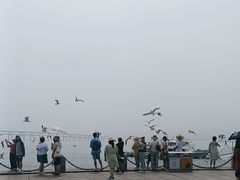 -星海湾跨海大桥