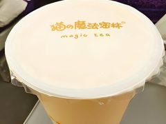-猫的魔法密林(衣裳街店)
