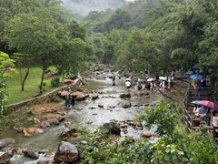 -广州白江湖森林公园