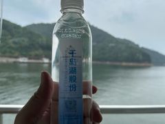 -绿城千岛湖喜来登度假酒店