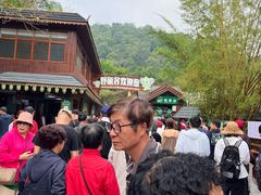 -野象谷景区