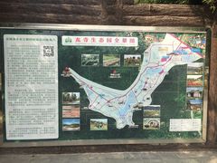 -龙寺生态园