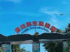-深圳野生动物园