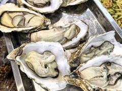 -渔港甄宴·海鲜·地标烟台菜(金沙滩店)
