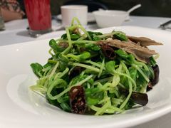 豌豆苗拌黑腐竹-北京厨房(西安SKP店)