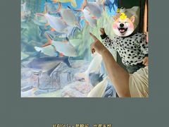 -上海海洋水族馆