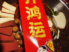 菌汤鸳鸯锅-谭鸭血老火锅(万象九宜城店)