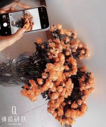 -倩极·精研痘敏肌管理