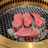 集齐和牛的精华