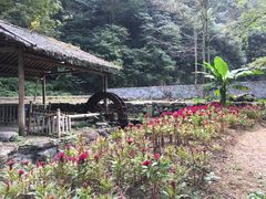 -白云源风景区