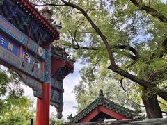 -北京国子监胡同