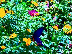 -沕沕水生态风景区