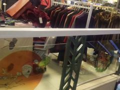 -华宇购物中心(开化寺街店)