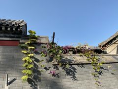-西单翅酷(西单店)