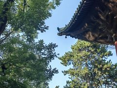 -永乐宫