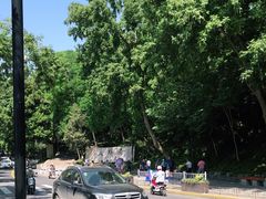 -大明寺素斋