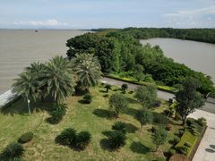 -大湾区中央湿地公园