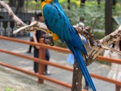 -北京野生动物园