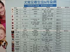 -瑞派康怡24h宠物医院·犬猫医疗中心·微创绝育(瑞景分院)