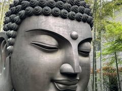 -杭州植物园
