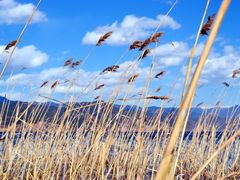 -丽江泸沽湖景区
