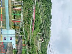 -长沙黑麋峰国家森林公园