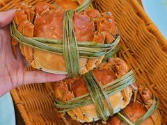 -品鲜村农家菜·阳澄湖大闸蟹(总店)
