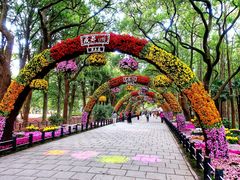 -共青国家森林公园-售票处