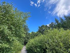 -苏木山森林公园