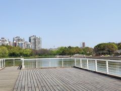 -新江湾城公园