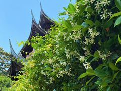 -龙华寺