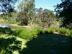 -墨尔本皇家植物园