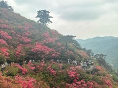 -木兰云雾山